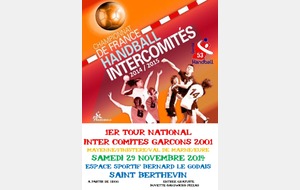 Intercomités 1er Tour National (2001)