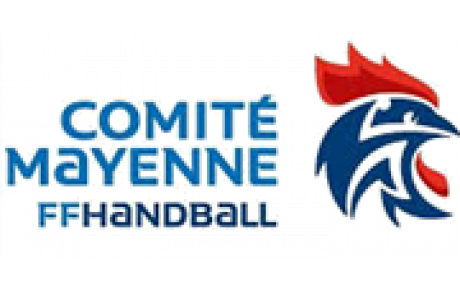 Comité 53
